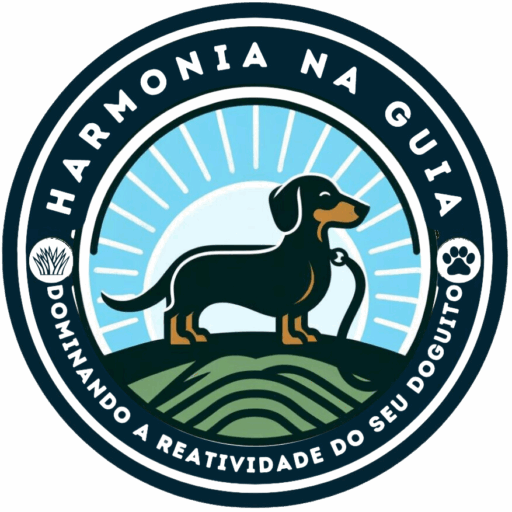 Meu site